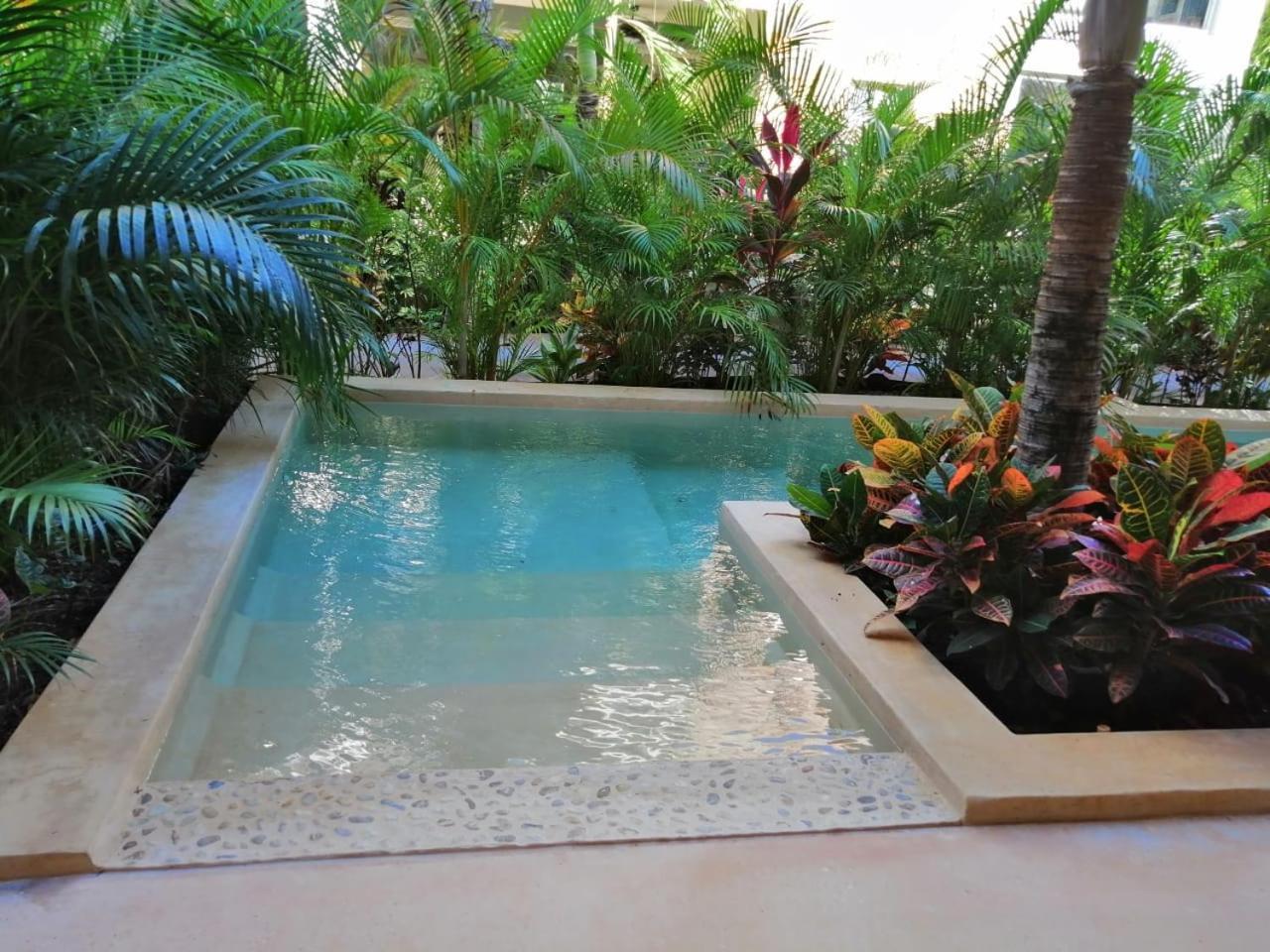 Alma De Flores Private Pools Suites تولوم المظهر الخارجي الصورة